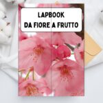 Sillabe illustrateDigitale