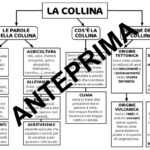 Tessere frazioniDigitale